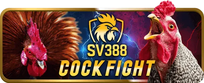 Chương trình VIP độc quyền của i33win nhà cái